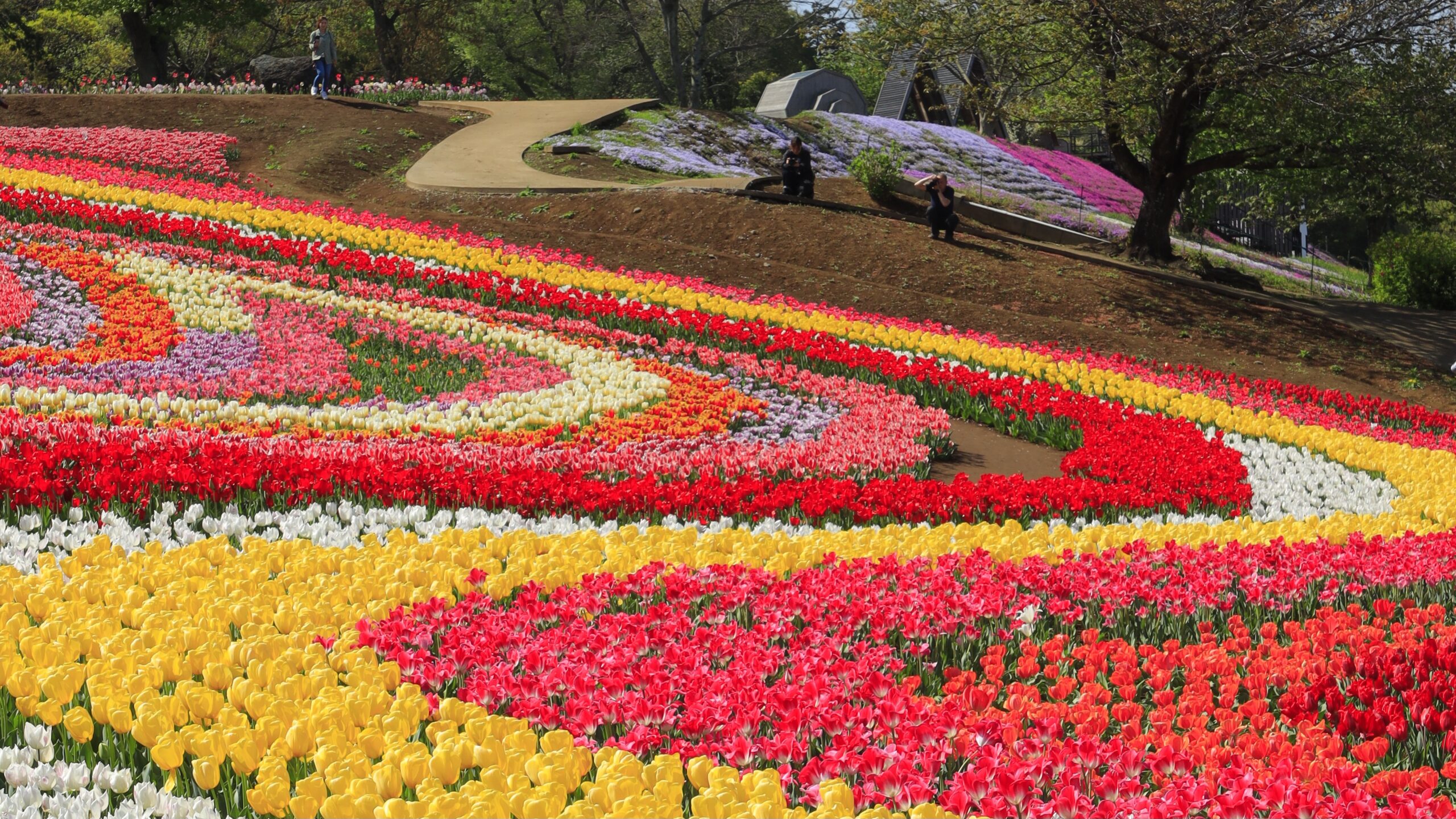 Tokyo German Village｜Seasonal Landscapes that Bring Out the Scale of the Flower Gardens and Hills