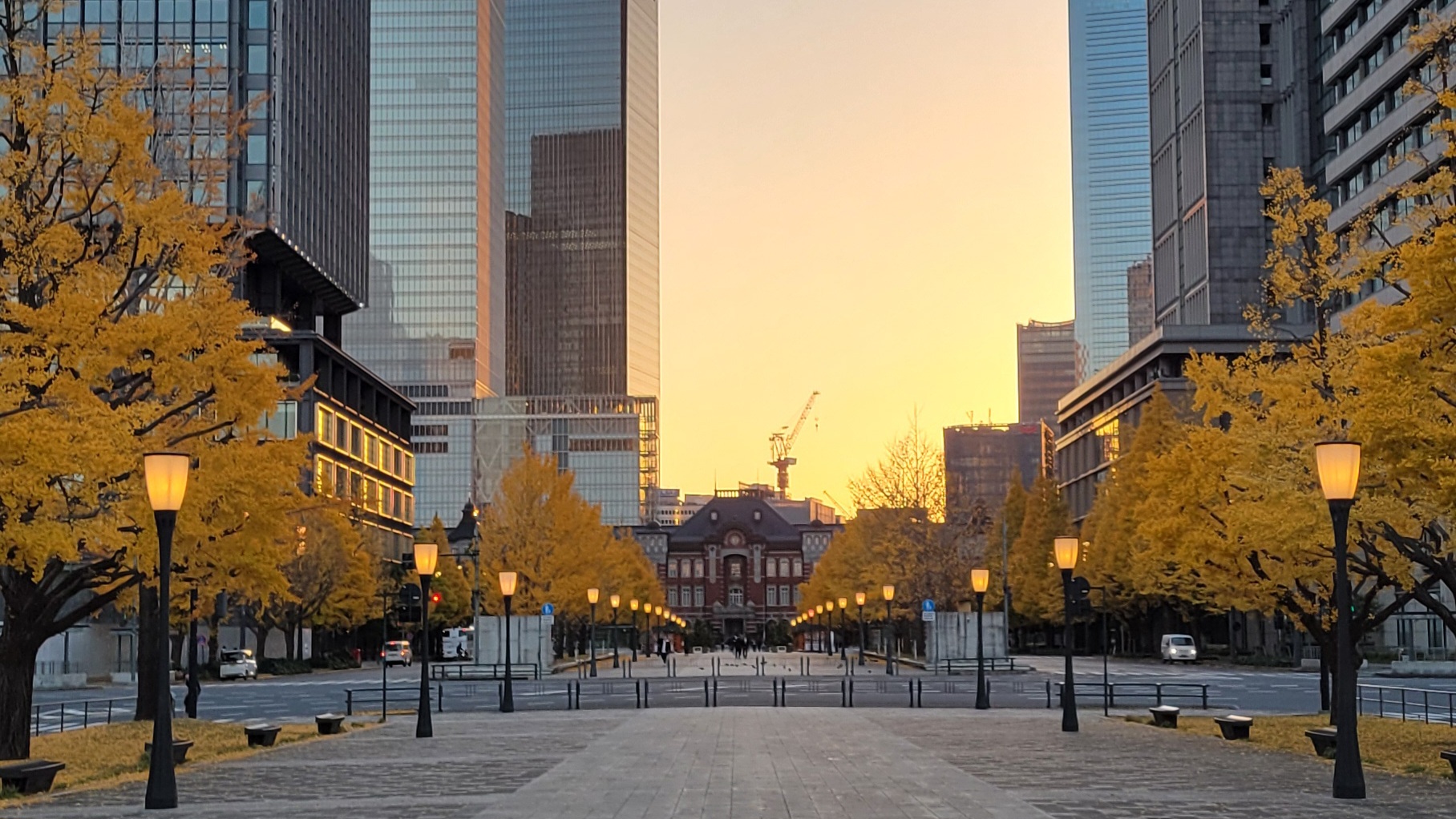 東京駅イチョウ並木