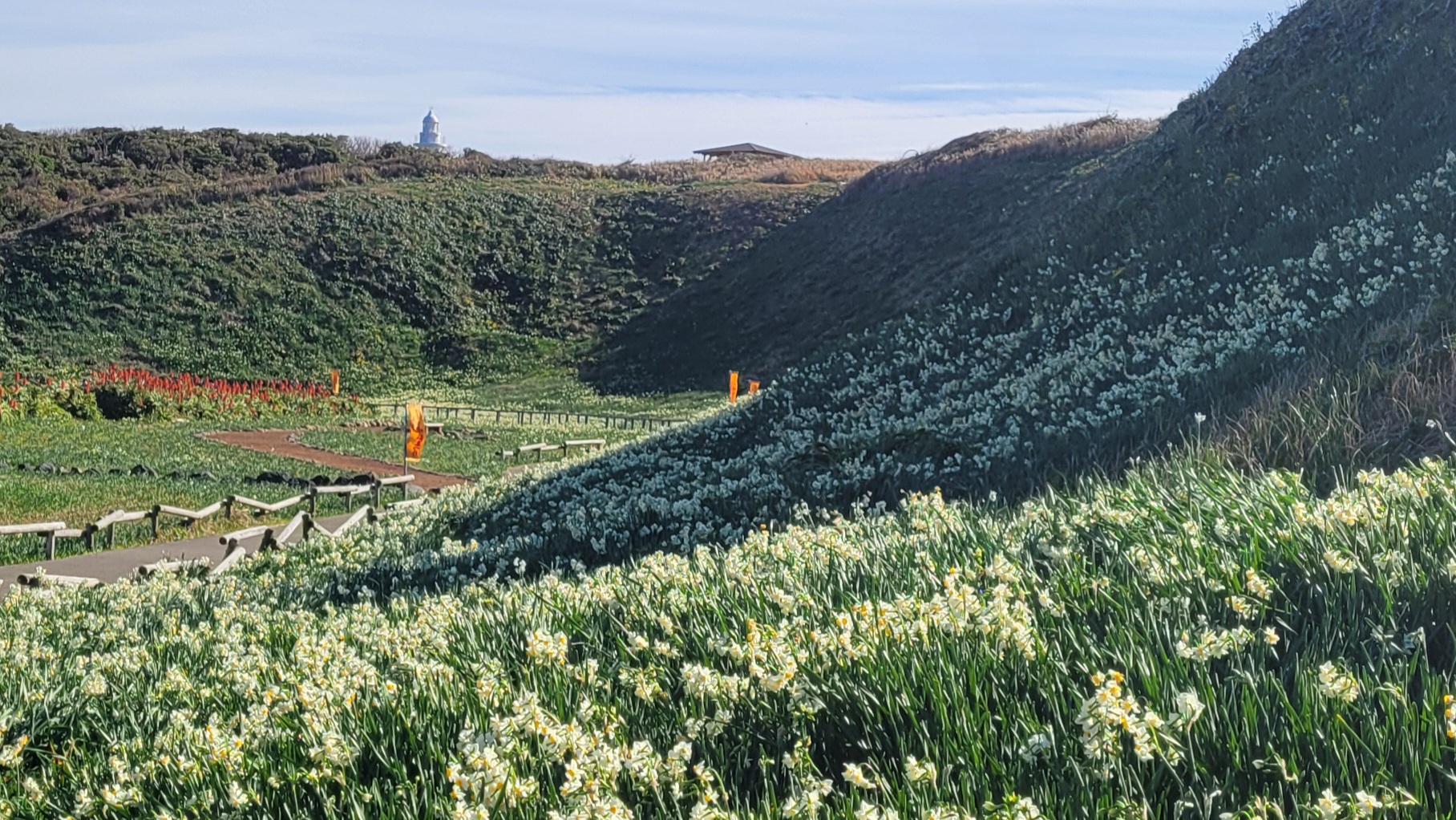 爪木崎（下田）