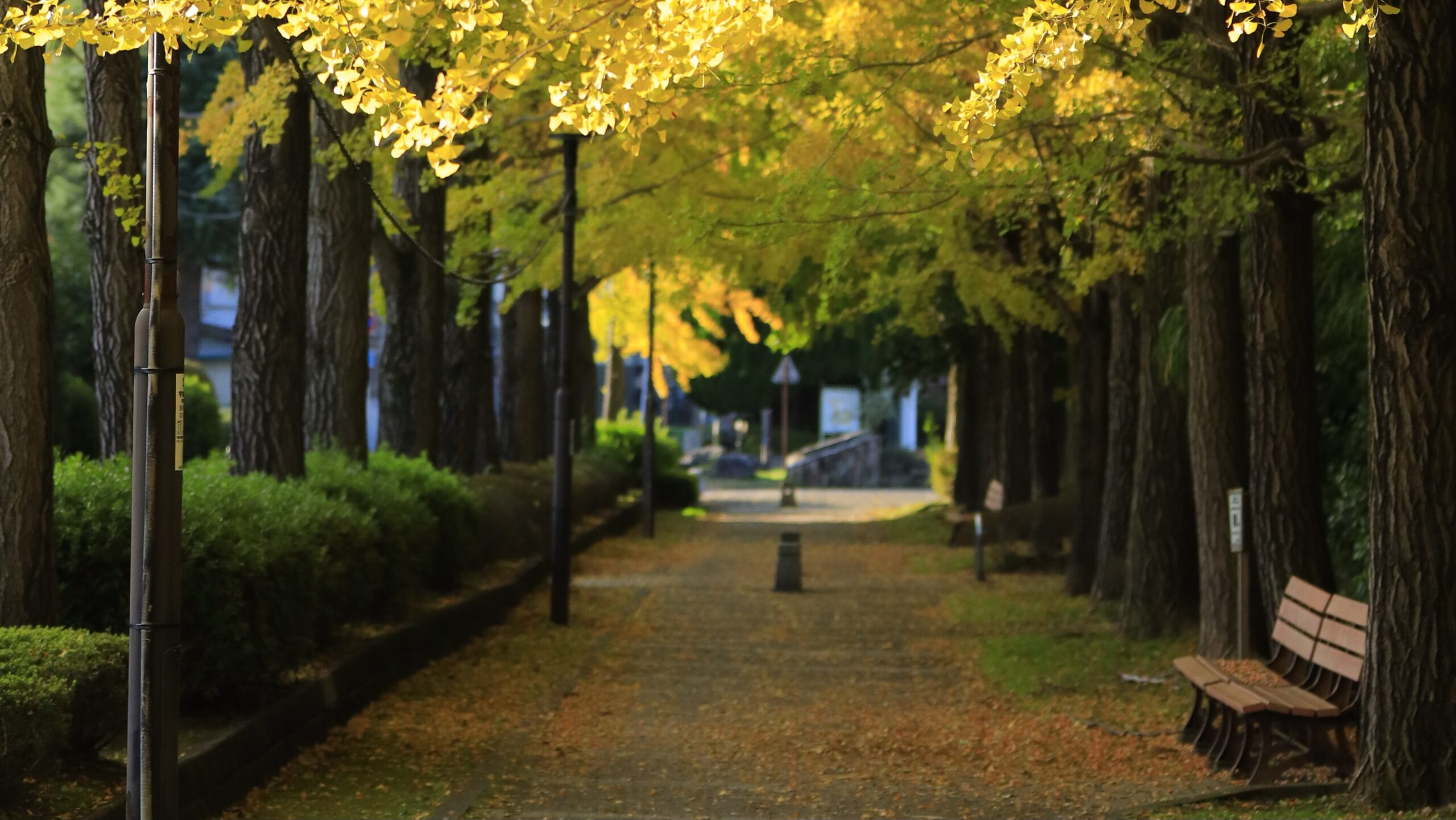 宇都宮駅東公園