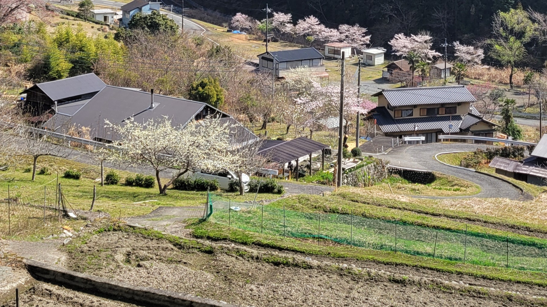 上稲子の棚田｜里山の静けさを感じる絶景撮影スポット