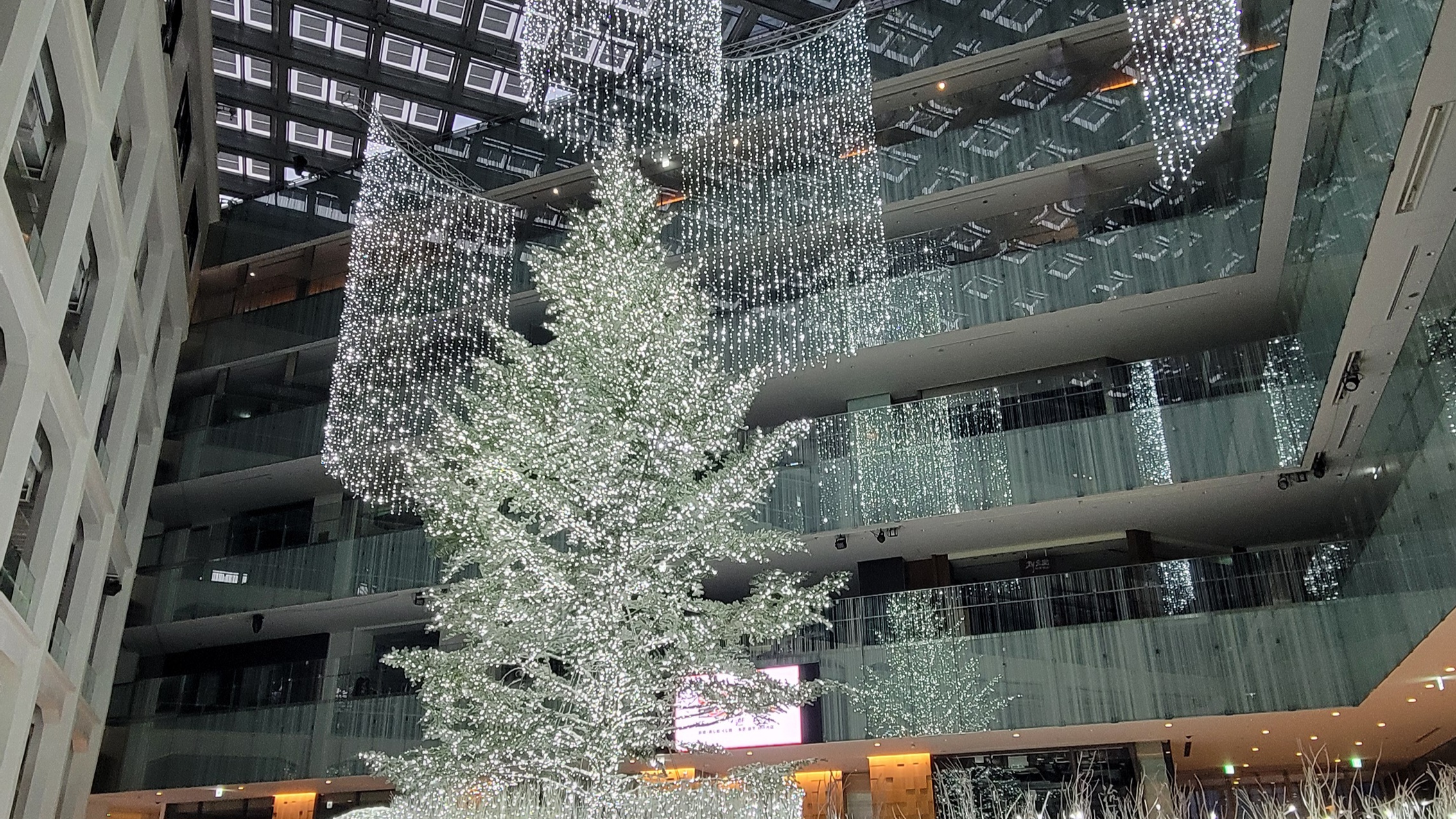 WHITE KITTE(ホワイト キッテ)