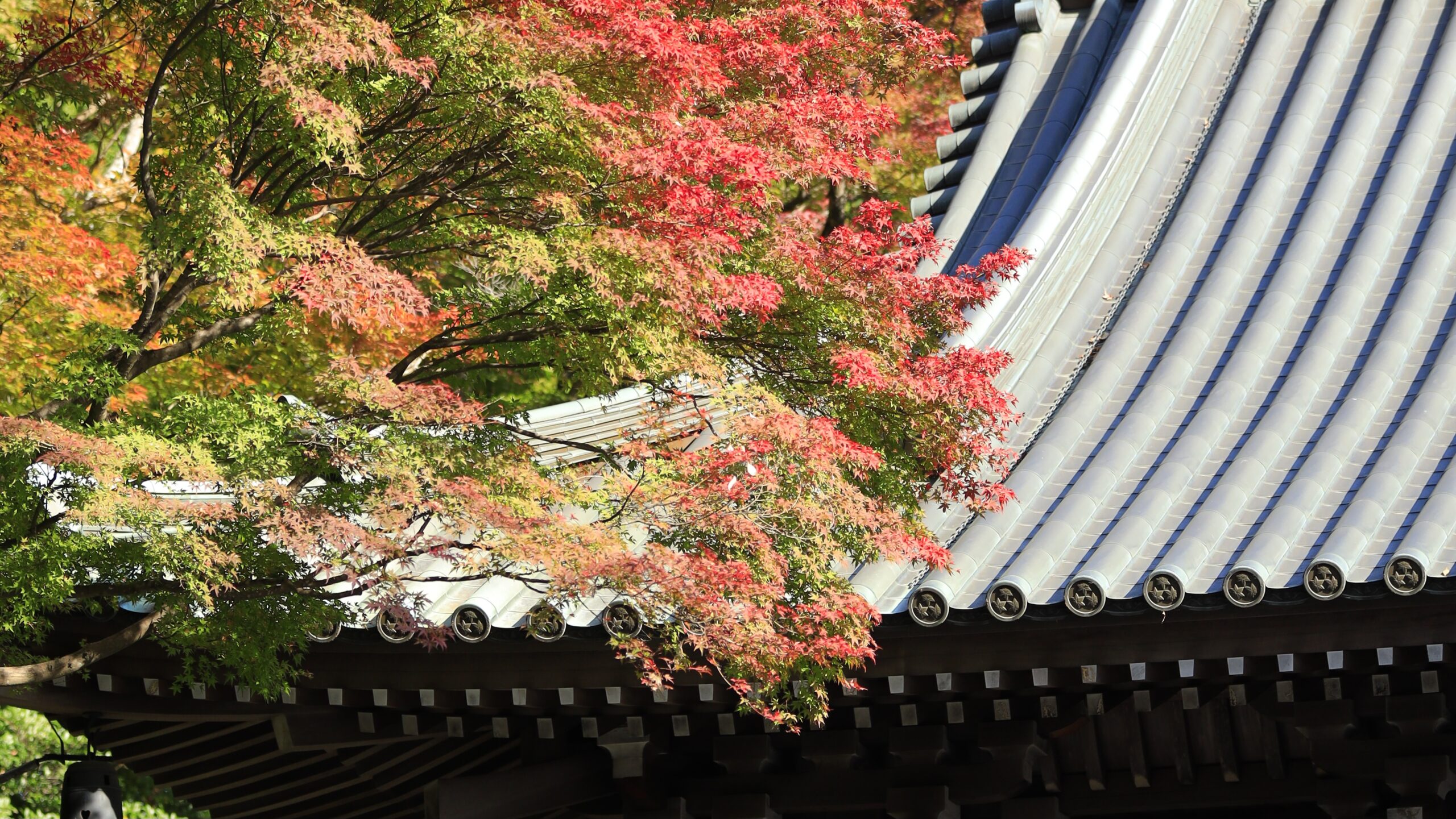 薬王院（高尾山）